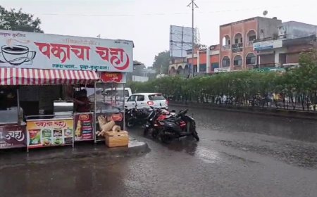 अनेक दिवसाच्या विश्रांतीनंतर पुण्याच्या इंदापूरात पावसाच्या सरी ; पाण्याविना करपू लागलेल्या शेतीपिकांना काही अंशी दिलासा