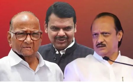 मुख्यमंत्री, दोन्ही उपमुख्यमंत्री, शरद पवार एकाच मंचावर येणार