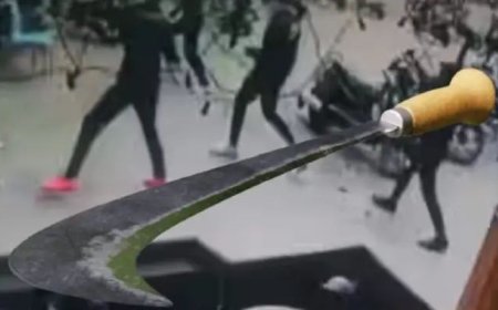 पुण्याच चाललंय काय? पुन्हा कोयता गँगची दहशत !