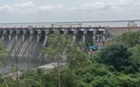 बिग ब्रेकिंग || उजनी धरण पन्नास टक्के भरले,उजनी धरणात एकूण 90 टीएमसी पाणी साठा