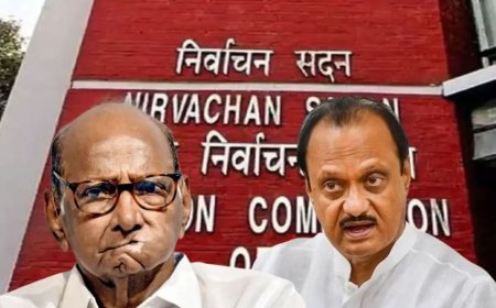 NCPतल्या संघर्षाची सुनावणी, अजित पवार गटाकडून शरद पवारांबाबत खळबळनक आरोप