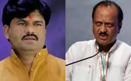 धनगर समाजाचे नेते आ.पडळकरांना अजित पवारांबद्दलचं ते वक्तव्य भोवण्याची शक्यता…वाचा काय आहे प्रकरण