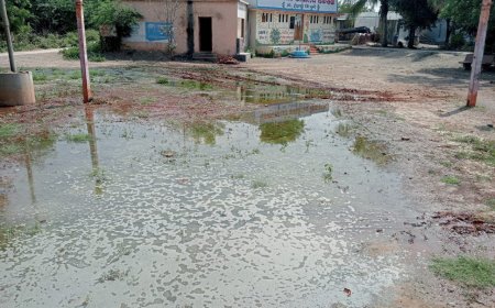 डिकसळ ग्रामपंचायत कार्यालय परिसरात घाणीचे साम्राज्य, नागरिकांचे आरोग्य धोक्यात