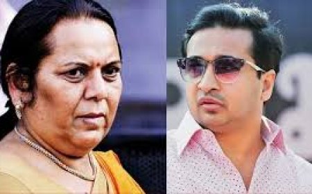 नितेश राणेंच्या आरोपांवर नीलम गोऱ्हे म्हणतात'त्या व्यक्तीचं साधारण ज्ञान काय?'