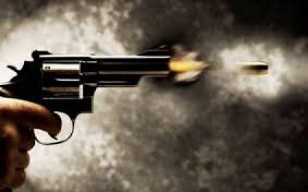 PUNE : धक्कादायक ! केवळ पिझ्झा उशिरा दिला म्हणून डिलिव्हरी बॉयवर थेट गोळीबार