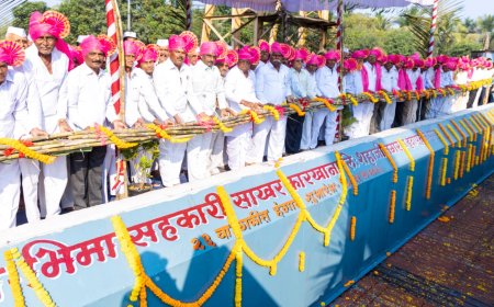 जेष्ठ सभासदांच्या हस्ते मोळीपूजन करुन निरा भिमाच्या गाळप हंगामास झाली सुरवात ! यंदा कराखाना देणार पहिली उचल 2500