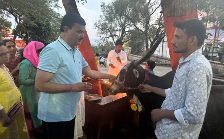 आमदार भरणेंची पुण्यातील 'दिवाळी पहाट रंग' कार्यक्रमास उपस्थिती, बसुबारस निमित्त दिल्या सर्वांना शुभेच्छा