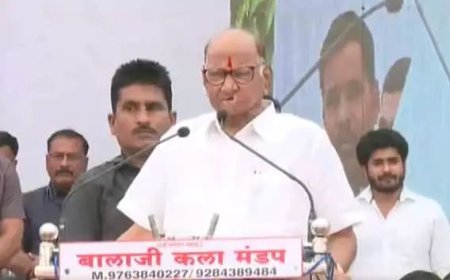 सध्या मी कुठंच नसलो तरी काळजी करु नका... मी सगळीकडे ! पवारांची गुगली