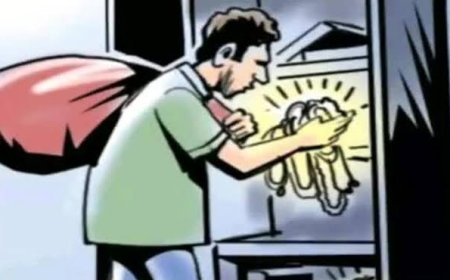 सरडेवाडीतील जमदाडे वस्ती येथे घरफोडी ; ७ लाख ३ हजार रुपये किमतीचा ऐवज चोरीस
