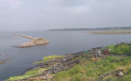 ऐन हिवाळ्यातच उजनी आली बत्तीस टक्क्यांवर - नियोजनाची गरज