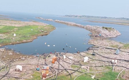 उजनीची पाणीपातळी कमालीची घटली,शेतकऱ्यांना उन्हाळ्याच्या सुरुवातीलाच करावा लागु शकतो पाणीटंचाईचा सामना