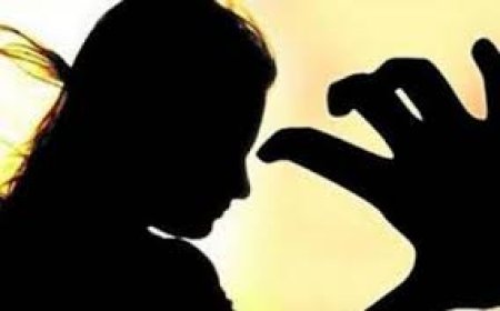 पुण्यात वस्तू संग्रहालयातील वरिष्ठ व्यवस्थापकाची महिला अधिकाऱ्याकडे अजब मागणी,वाचा सविस्तर