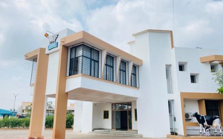 इंदापूरातील दूधगंगा दूध उत्पा.सह.संघावरती दत्त जयंती निमित्ताने पार पडणार विविध धार्मिक कार्यक्रम