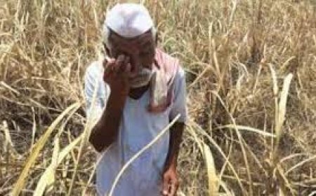 महाविकास आघाडीच्या 'शेतकरी आक्रोश मोर्चा'ला आजपासून प्रारंभ,शरद पवारांच्या उपस्थितीत पुण्यात शनिवारी सभा