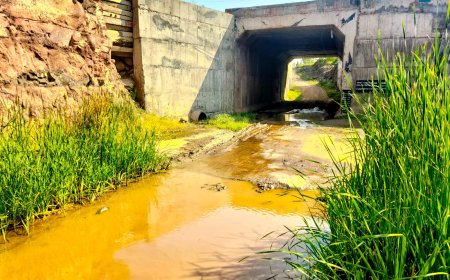 डिकसळ ते राजेगाव कडे जाणाऱ्या रेल्वे भुयारी मोरीत गटारगंगा ; प्रश्न मार्गी लावण्याची शेतकऱ्यांची मागणी