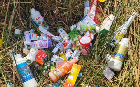 बिग ब्रेकिंग | भिगवण मध्ये रस्त्यावर उघड्यावर फेकला मुदत बाह्य औषधांचा साठा ; उडाली एकचं खळबळ