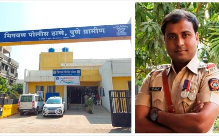 भिगवण पोलीस ठाण्याचे प्रभारी अधिकारी दिलीप पवार यांची सातारला बदली ; अशी आहे कारकिर्द