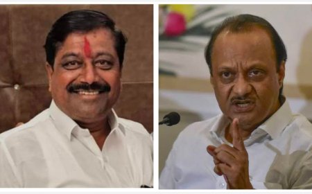 अजित पवार यांच्या वक्तव्यावर प्रा.शिवाजी बंडगर भडकले ! केलं थेट आमदारांच्या मर्दानगीलाचं चॅलेंज