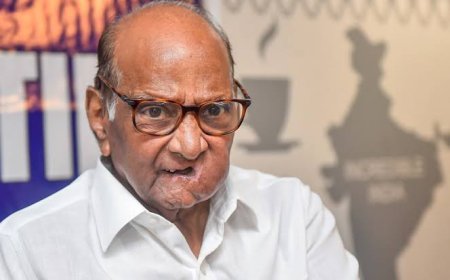 शरद पवार यांचा 'प्लॅन बी' रेडी ! पवारांची पुढची पावलं काय असू शकतात.