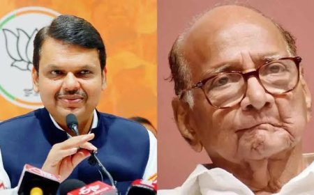 राष्ट्रवादीच्या निकालावर फडणवीसांची 4 शब्दांत प्रतिक्रिया ! म्हणाले, 'हा निर्णय..'