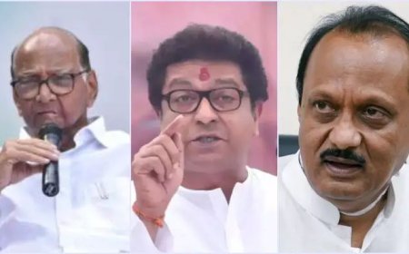 "बुजुर्ग काकांनी उभा केलेला पक्ष दुसऱ्याच्या बळावर."; निवडणूक आयोगाच्या निकालानंतर मनसेचा दादांवर निशाणा