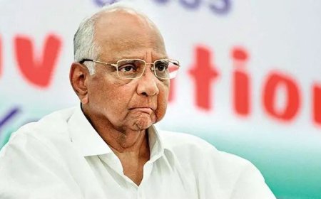 'जसे पेरतो तसे उगवते, मग आता का वाईट वाटते?'; भाजपच्या 'या' बड्या नेत्यानं पवारांना डिवचलं