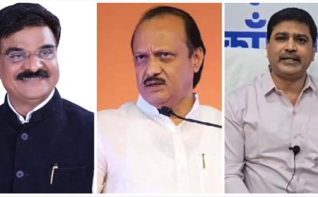 शिवतारेंमुळे 'महायुतीत' ठिणगी पडणार? अजित पवारांवर केलेल्या टीकेनंतर राष्ट्रवादीच्या कार्यकर्त्यांनी घेतली ही भूमिका