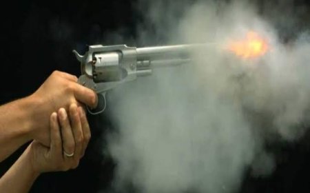 क्रिकेट वरून झालेल्या वादात पुण्यात गोळीबार ! आठवडाभरातील तिसरी घटना ; अरे पुण्यात चाललाय तरी काय ?