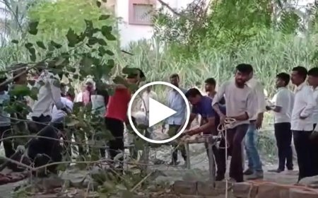 धक्कादायक ! त्या विहिरीने पाच जणांना गिळलं, मांजरीला वाचवण्याच्या प्रयत्नात महाभयंकर घडलं
