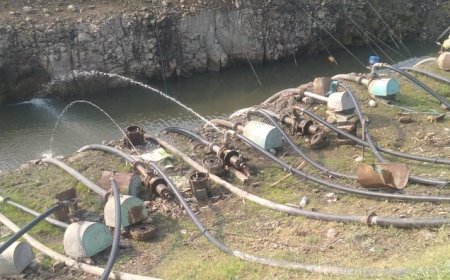 शेतकऱ्यांपुढे नवं संकट ! माळवाडीत उजनी काठी काय घडलं ? वाचा सविस्तर