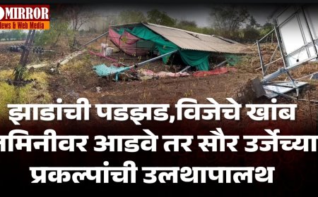 निमसाखर परिसरात  झाडांची पडझड,विजेचे खांब जमिनीवर आडवे तर सौर उर्जेच्या प्रकल्पांची उलथापालथ