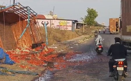 टोमॅटो वाहतूक करणारा टेम्पो इंदापूर हद्दीत पलटी,रस्त्यावर झाला लाल चिखल…