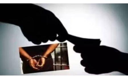 रास्त दुकानदारावर कारवाई अन् परवाना रद्द न करण्यासाठी तहसीलदार आणि कोतवालानं चाळीस हजार मागितले ; वीस हजार स्वीकारताना रंगेहाथ सापडले ; कुठे घडला हा प्रकार