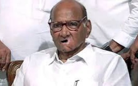 शरद पवारांचा आजपासून दुष्काळ पाहणी दौरा ! पुरंदर आणि इंदापूर तालुक्यातील भागांची करणार पाहणी