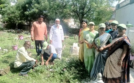 इंदापूरात इद उल अजहा निमित्त मुस्लीम दफन भुमीत वृक्षारोपन