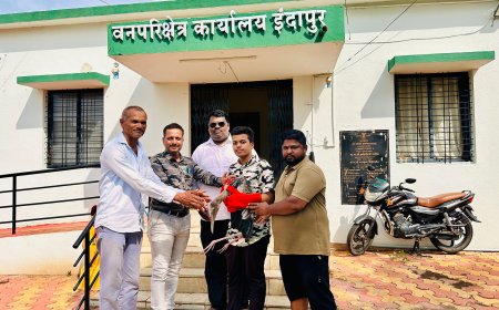 जखमी चित्रबलाकच्या मदतीला धावले ते चौघे ; वेळेत उपचार मिळाल्याने वाचले प्राण 