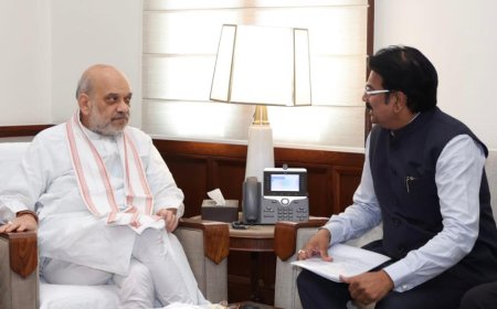 दिल्लीत केंद्रीय मंत्री अमित शाह आणि हर्षवर्धन पाटील यांच्या भेटीत नेमकी काय चर्चा झाली,वाचा सविस्तर