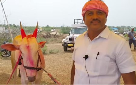 बिग ब्रेकींग | रणजित निंबाळकर गोळीबार प्रकरणातील आरोपी गौतम काकडेंना पोलिसांनी केली अटक