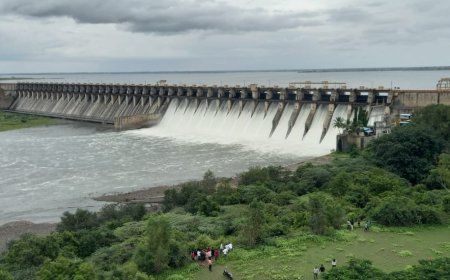 मोठी बातमी | उजनी धरणाचे 16 दरवाजे 40 सेंटीमीटरने उघडले,भीमा पात्रात 21 हजार क्युसेकने विसर्ग