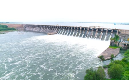 उजनीतून भीमा नदी पात्रात 50 हजार क्युसेक्सने पाण्याचा विसर्ग