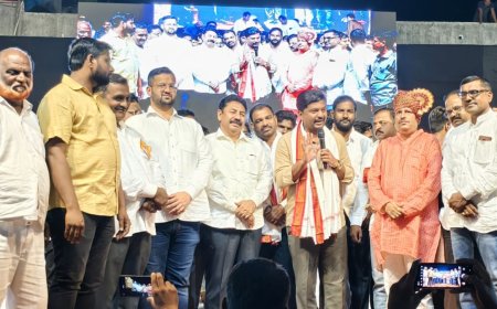 भरतशेठ शहा मित्र परिवार आयोजित दहीहंडी तिरंगा संघाने फोडली ! सिनेअभिनेत्री मानसी नाईक व रशियन कलाकार ठरले आकर्षणाचे केंद्रबिंदू