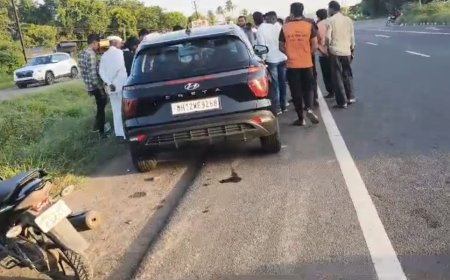 भिगवण जवळ तीन म्हशींना चार चाकीची जोरदार धडक