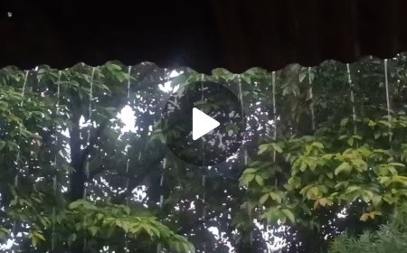 अनेक दिवसाच्या विश्रांतीनंतर बारामती शहर आणि परिसरात दमदार पावसाची हजेरी