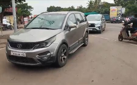 श्रीगोंद्याचे माजी आमदार राहुल जगताप-अण्णासाहेब शेलार शरद पवारांच्या भेटीला ! पवार गटाकडून विधानसभा लढवण्यासाठी इच्छुक