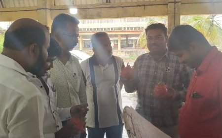 इंदापूर बाजार समितीत ड्रॅगन फ्रुटने खाल्ला 201 चा भाव