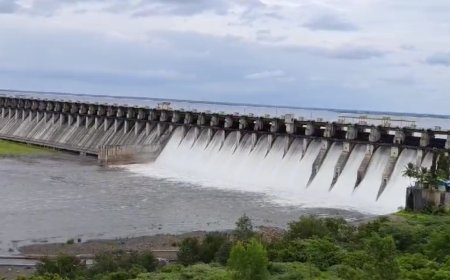 BREAKING उजनीतून भीमा पात्रात 31 हजार 600 क्युसेकने विसर्ग