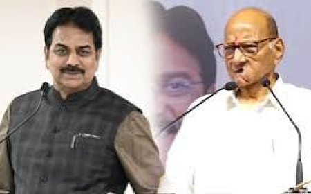 हर्षवर्धन पाटलांच ठरलं ! राजवर्धन पाटील अंकिता पाटील ठाकरेंनी ठेवले तुतारीचे स्टेटस