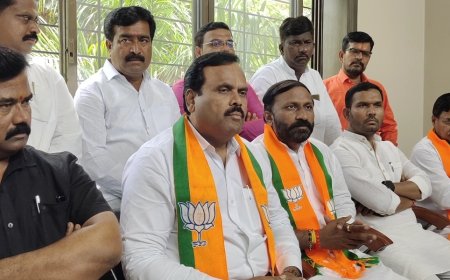 शरद पवारांचं राजकारण विश्वास घातकी ! भाजपाचे पुणे जिल्हाध्यक्ष वासुदेव काळेंचा आरोप