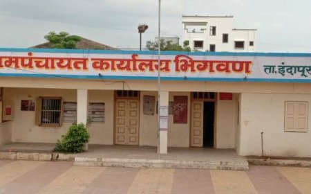 भिगवण च्या उपसरपंच मुमताज शेख यांचा राजीनामा 