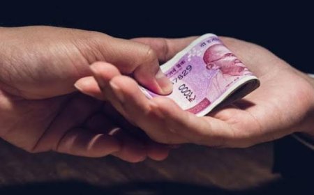 लाच मागणं वनरक्षकाला पडलं महागात,भिगवण पोलिसात दाखल झाला गुन्हा